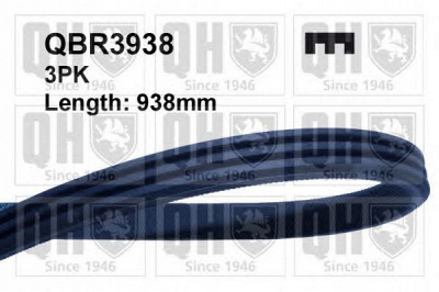 QUINTON HAZELL qbr3938 -  Поликлиновой ремень